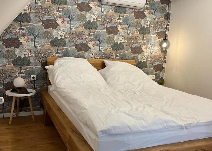 Vip Vendeghaz Miskolctapolca *